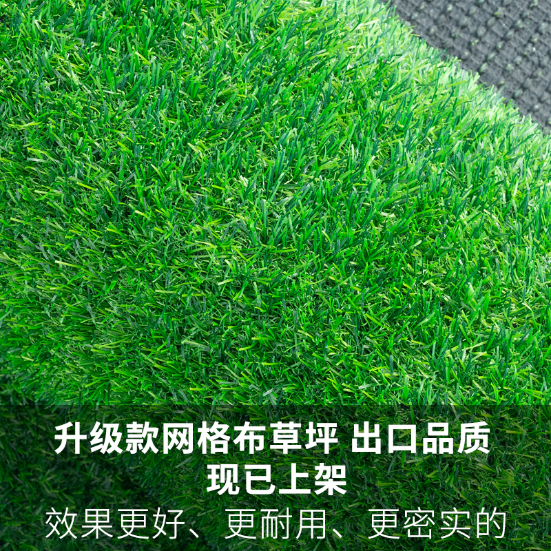 户外草坪 绿色地毯草坪 环保绿化加工定制