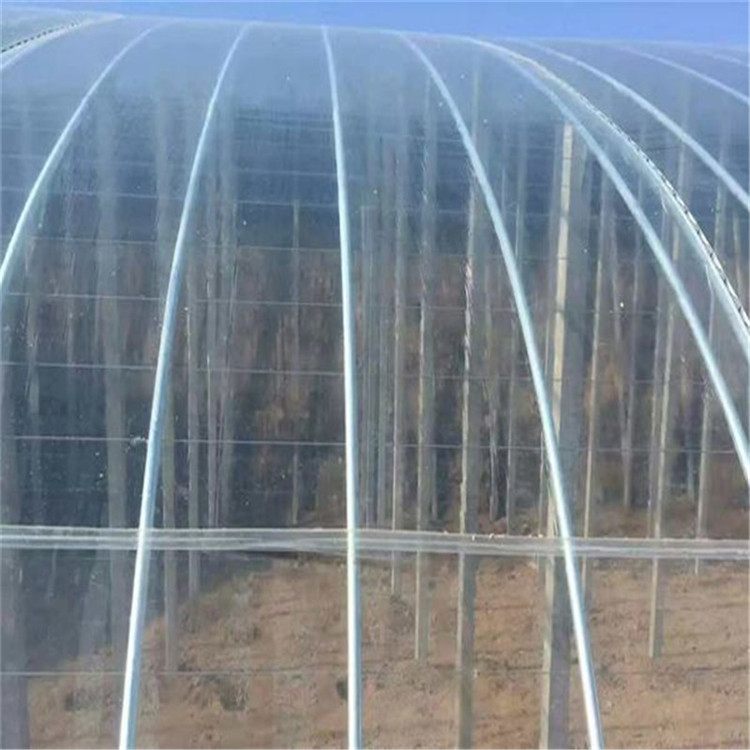 工厂定制po膜直销价格