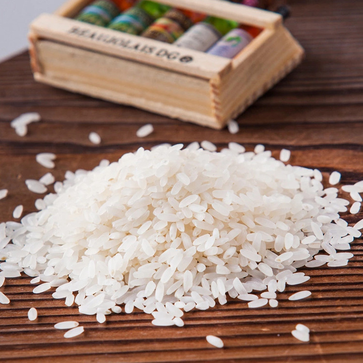 东北五常大米专卖价格优惠 沈阳五常大米厂家批发零售送货上门