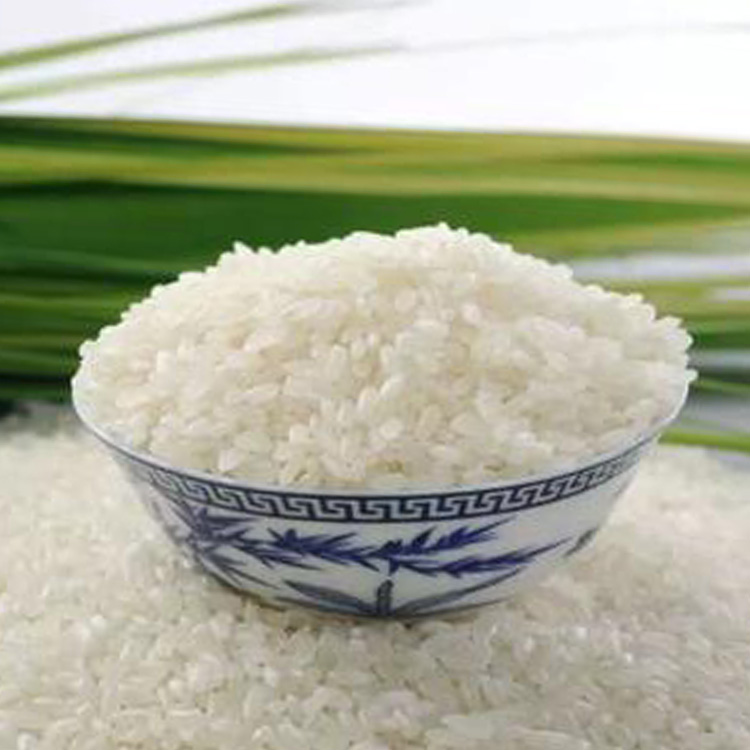 东北五常大米厂家批发 五常稻花香大米专卖价格优惠