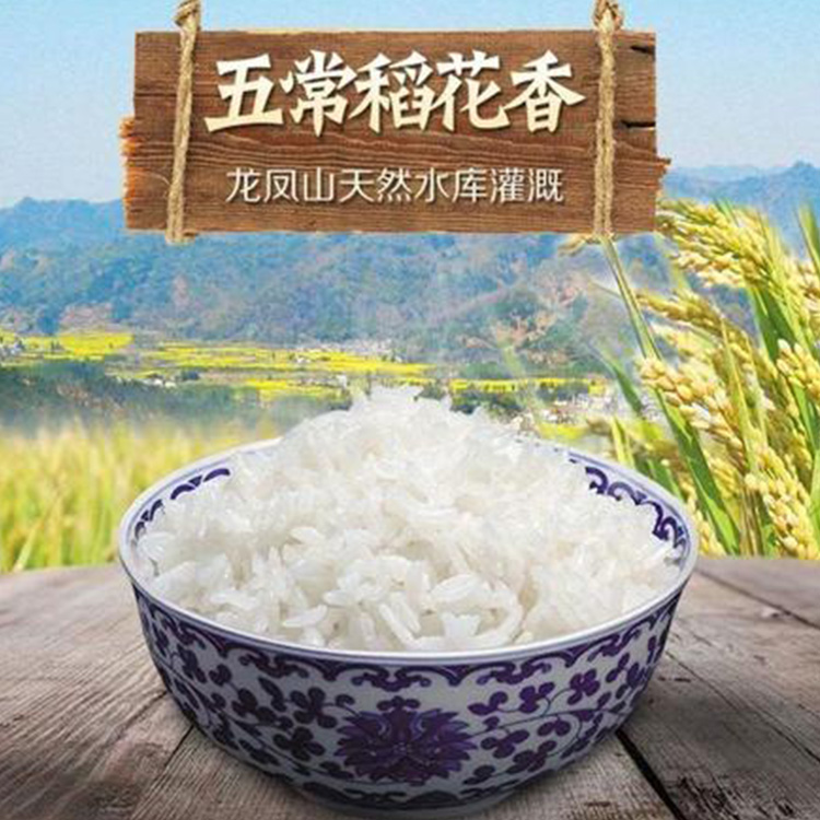 绿诺牌东北五常大米厂家批发 黑龙江五常大米专卖欲购从速