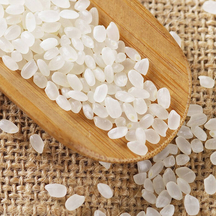 沈阳五常稻花香大米专卖价格优惠 东北五常大米批发零售厂家直销