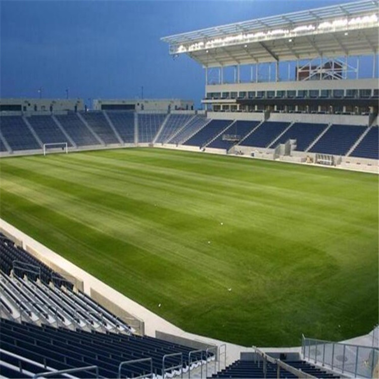 人造仿真草坪厂家规格齐全