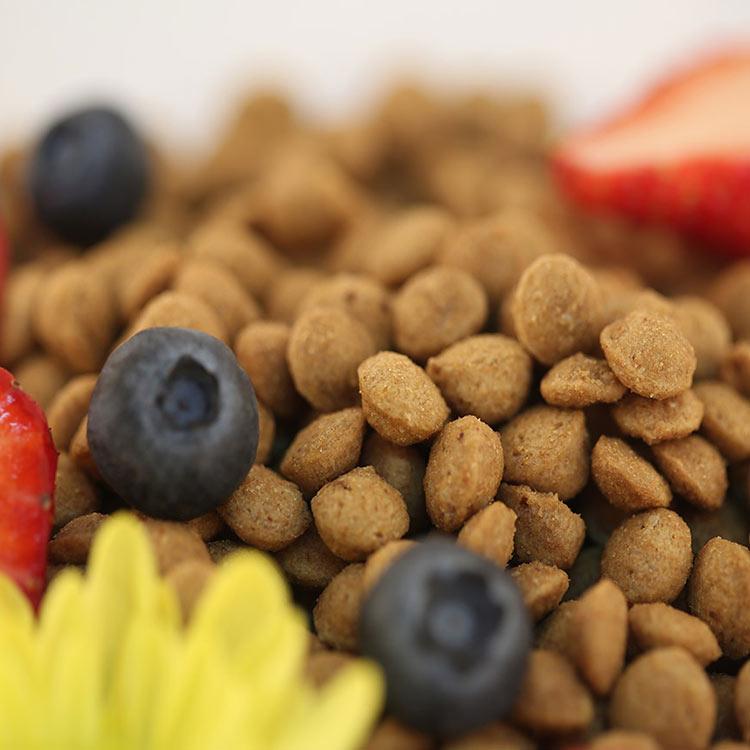 猫粮代工 美特斯加高端营养猫粮 天然猫粮 幼猫粮 销售批发招代理