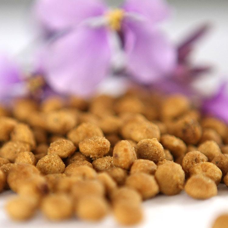 猫粮代工 贝可恩营养猫粮 折耳布偶英短暹罗通用型 鲜肉配方 营养均衡 美毛去毛球 oem贴牌