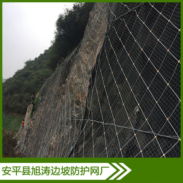  旭涛 道路绿化防护网尺寸 诚信商家 支持定制