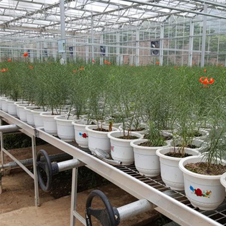 移动苗床生产厂家 大棚育苗床规格齐全