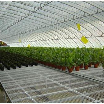 镀锌苗床 温室苗床网片美观抗腐蚀标顺厂家现货