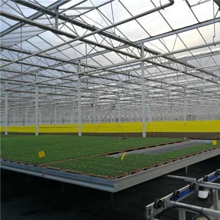 厂家现货供应 热镀锌移动苗床 育苗网 苗床网规格齐全可定制