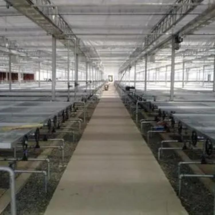 育苗床厂家 移动苗床规格 花卉苗床 潮汐苗床 大棚苗床网 