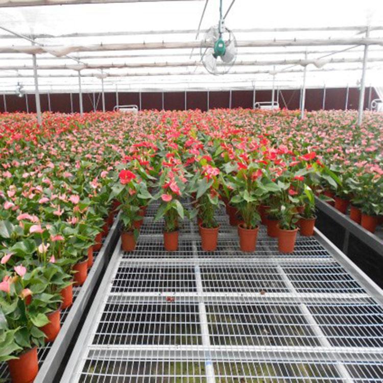 潮汐移动苗床 温室大棚花卉栽培床农业加温机科研铝合金框架定制