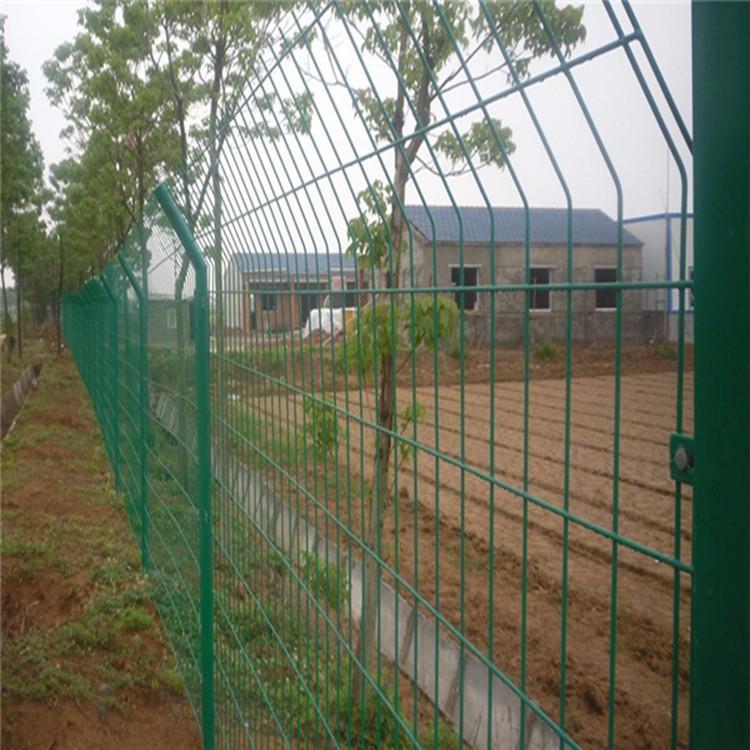 安平广盈草绿护栏网 安徽道路护栏网 隔离栅厂家生产