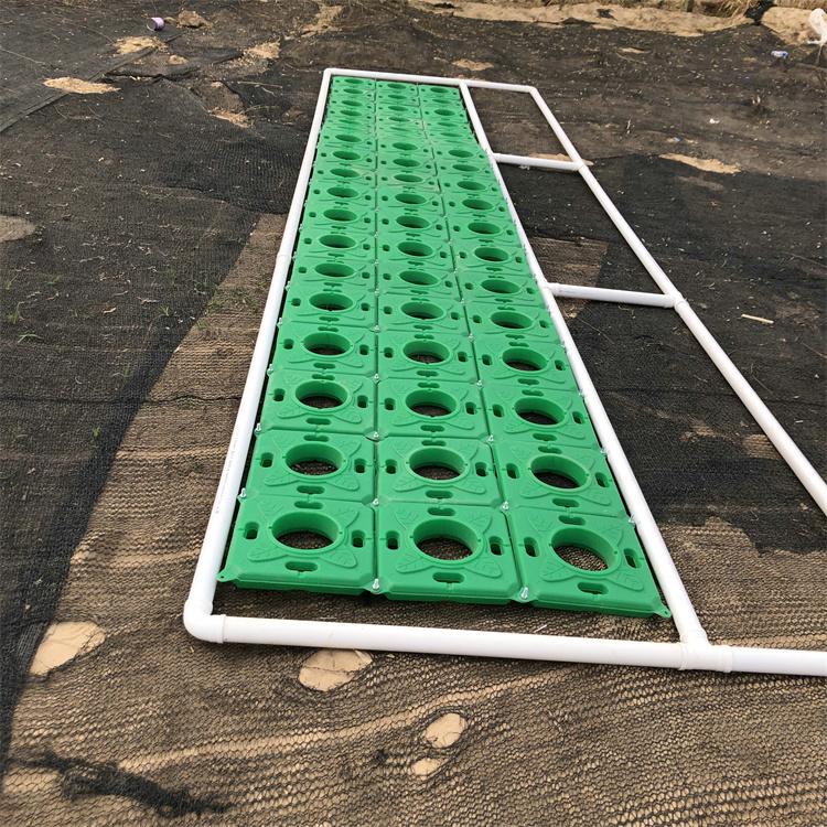 崇恒 生态浮岛价格合理 水上湿地种植 货源充足