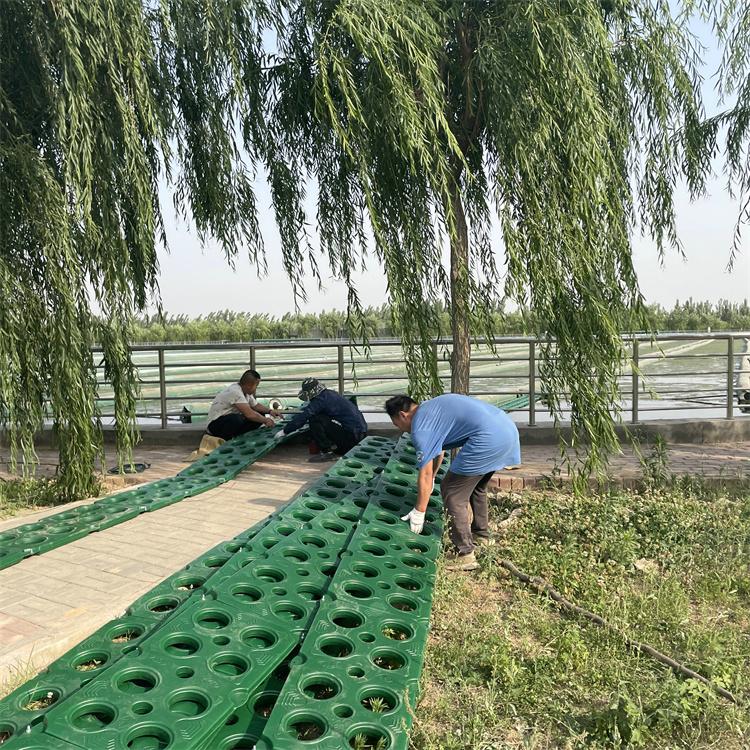 崇恒 水生植物浮岛厂家 生态人工浮岛 货源充足