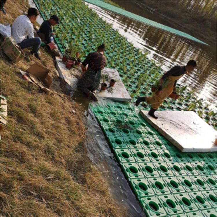 崇恒 人工浮岛规格 人工浮岛 园林工程