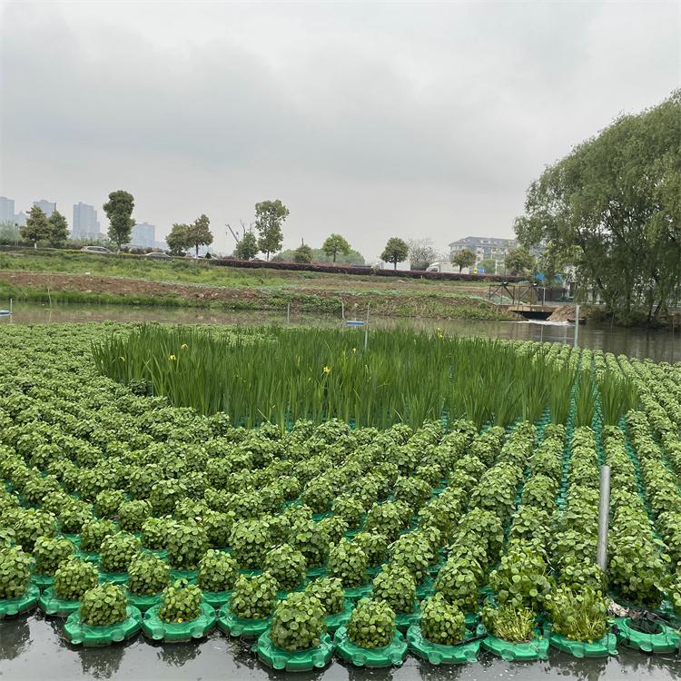 崇恒 浮岛设计安装 植物种植人工浮岛 专业种植