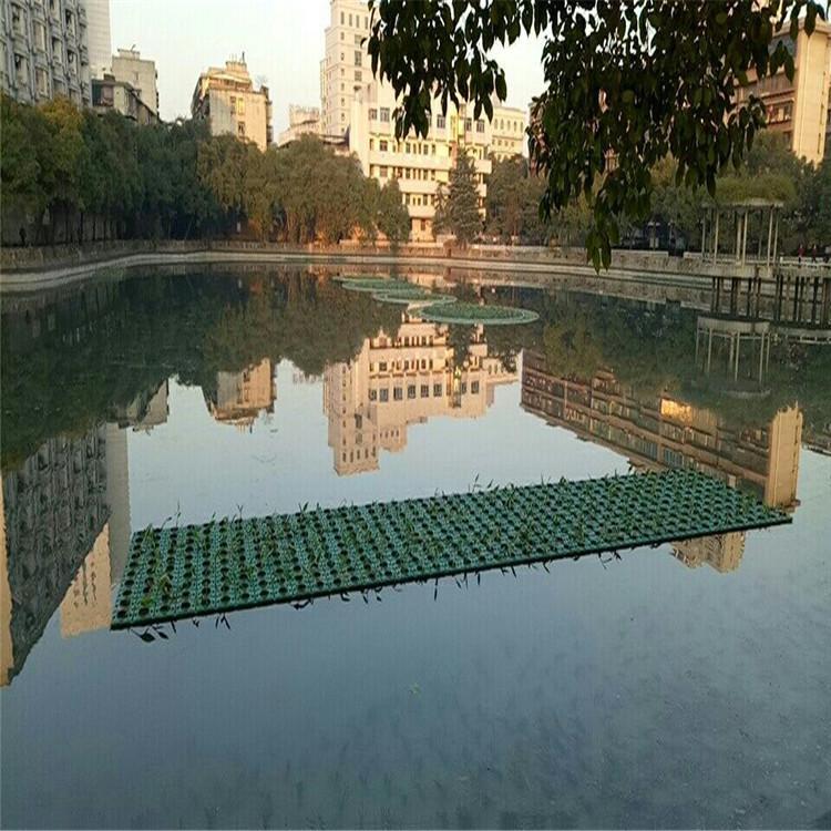 人工浮岛基地 生态浮床设计安装  污水处理 生物浮岛厂家