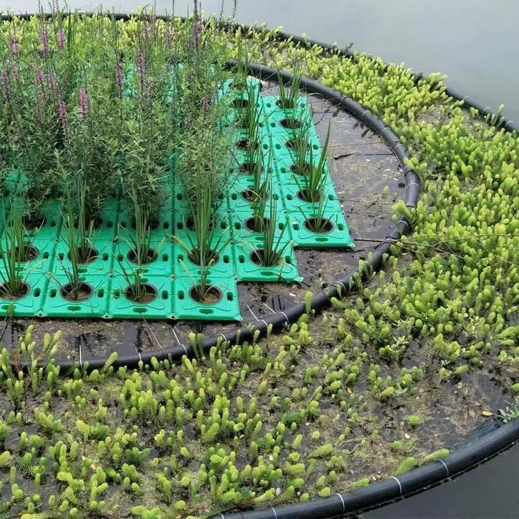 生态浮床 人工浮岛安装施工 生态修复浮岛材料