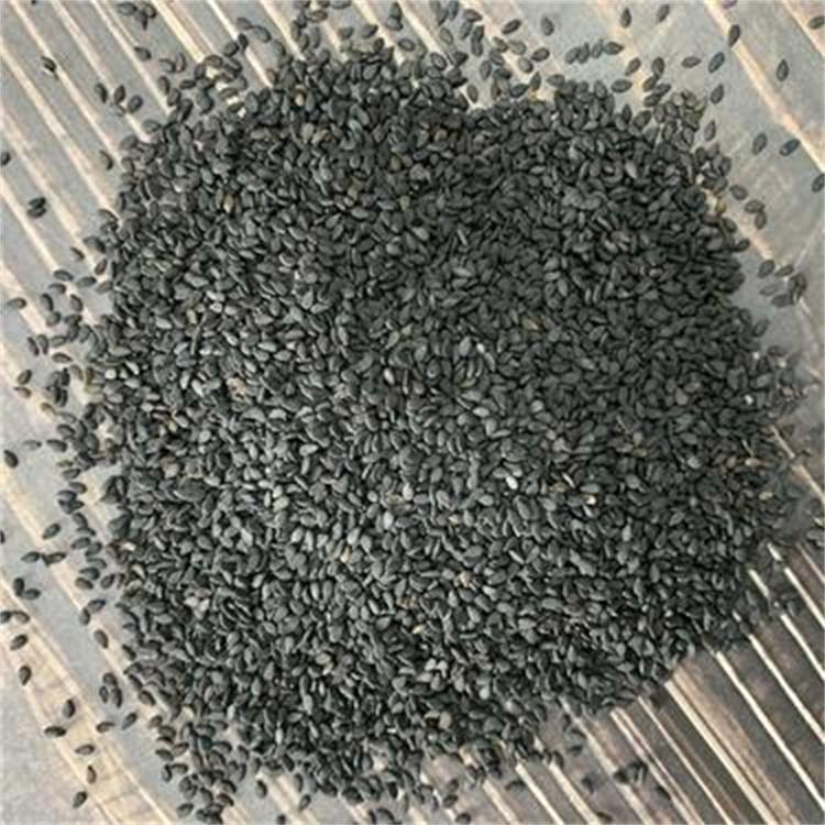 芝麻官厂家批发直销熟黑芝麻优质烧烤烘焙调味料熟黑芝麻五谷磨坊榨油熟芝麻25公斤