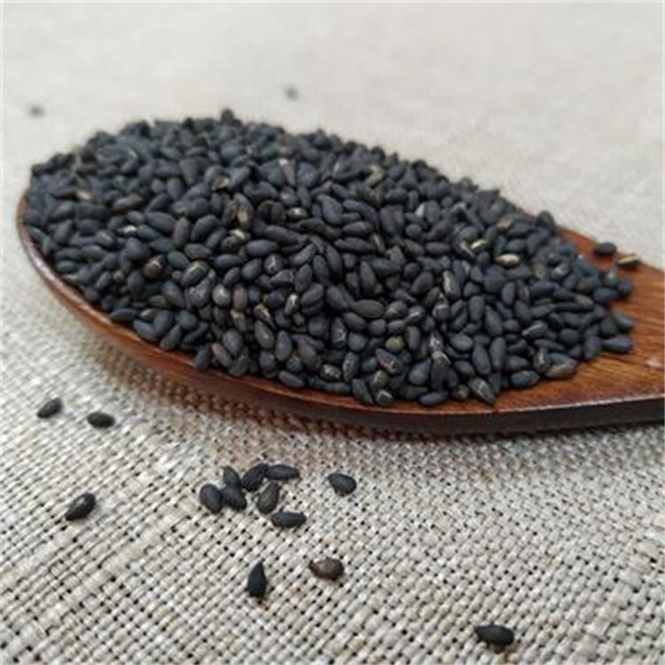熟黑芝麻好 网红带货黑芝麻 批发熟五谷杂粮 工厂可大批定制