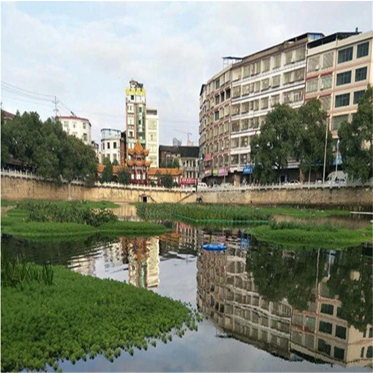人工生态浮床 浮板 种植水渠造景浮床 鱼塘水生生态浮岛 