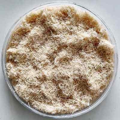 木塑用木粉 杨木粉造香造纸木粉 杨木木粉