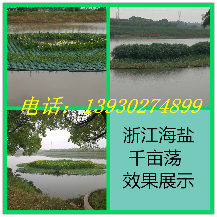 生生植物浮床施工厂家不锈钢连接件