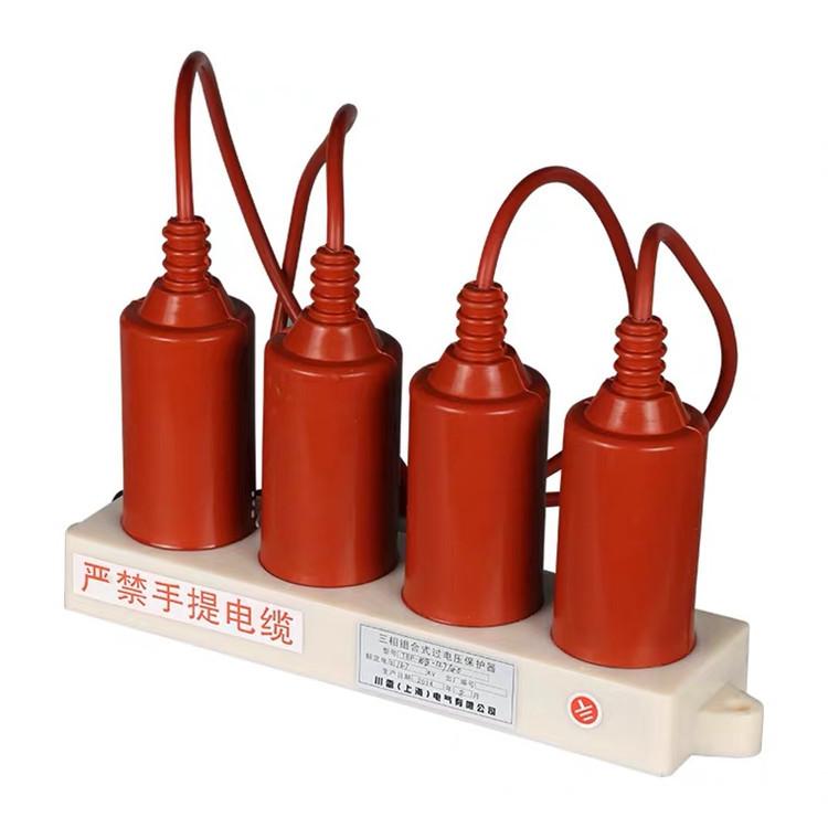组合式过电压保护器/BT--TBP型厂