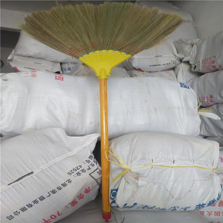 八钉软苗凤尾笤帚芒花扫把芒草笤帚厂家直销