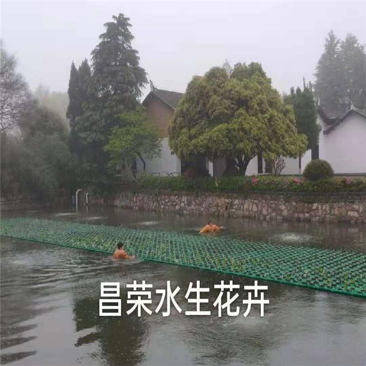 人工生态浮岛 生态浮岛厂家
