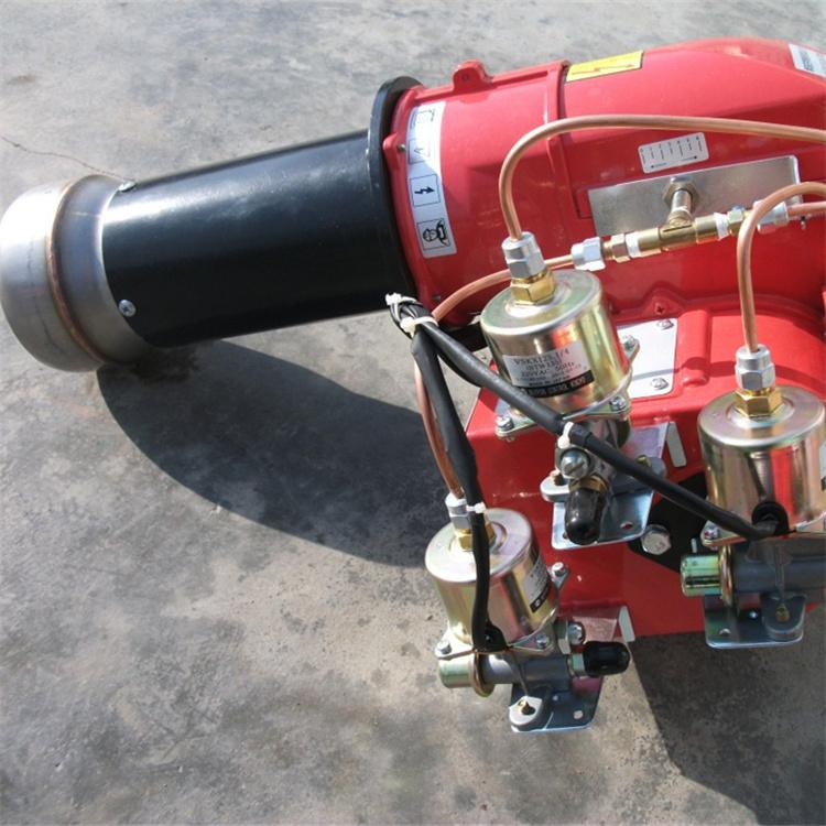 厂家直供 天然气低氮燃烧器  