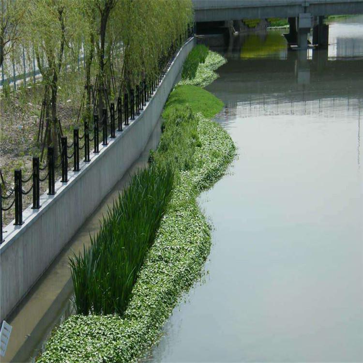 复合人工生态浮岛 生态浮床 水域净化 水上景观 水上植物种植 浮岛种植