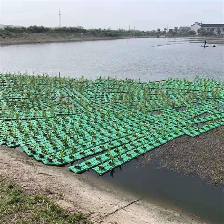 人工绿化生态浮岛批发 河道漂浮湿地浮床 水上生物浮岛
