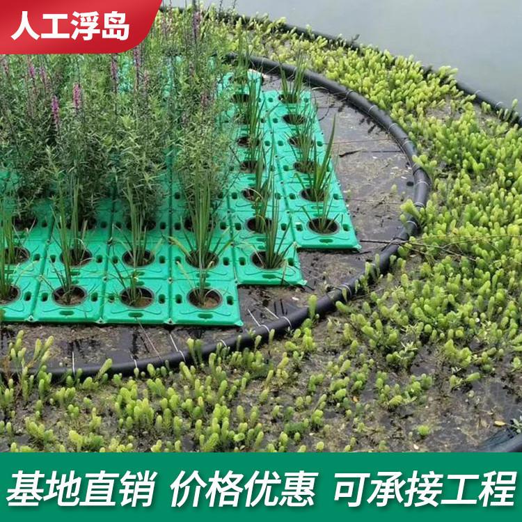 供应菖蒲 黄菖蒲水生鸢尾水生植物 黄花鸢尾 湿地植物生态浮岛