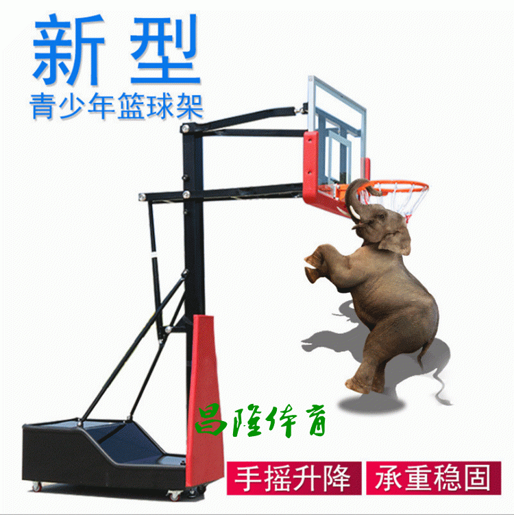 可升降儿童篮球架 儿童家用篮球架 移动升降篮球架出售