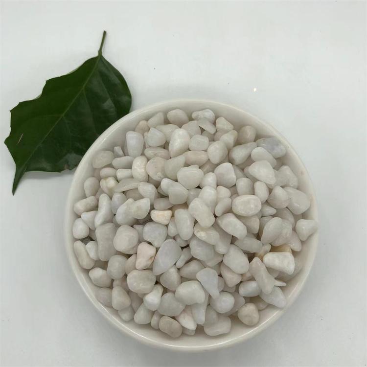 白色鹅卵石铺路装饰玩耍用小子 天然雨花石