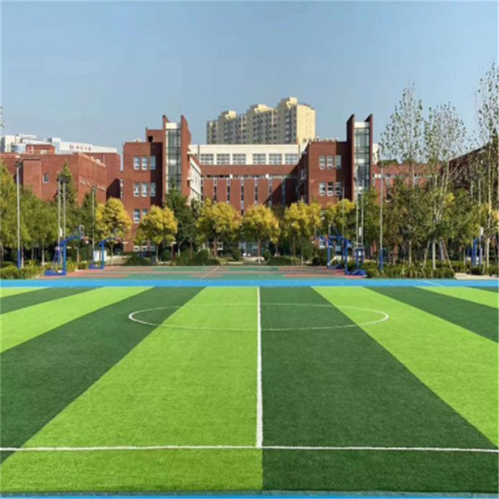 厂家批发 人造草坪 幼儿园专用人造草坪 运动场人造草皮 休闲人工草坪 价格优惠