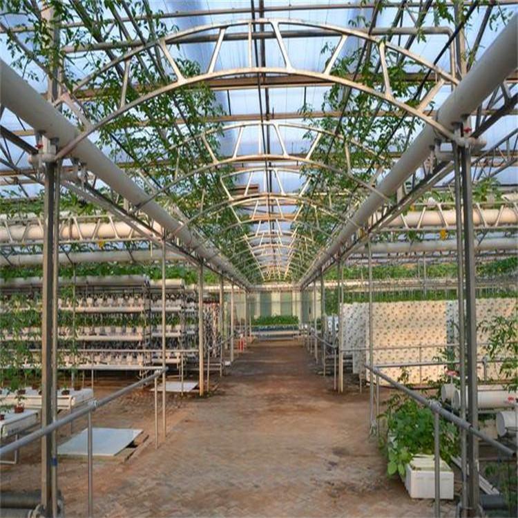 日光大棚温室建设厂家