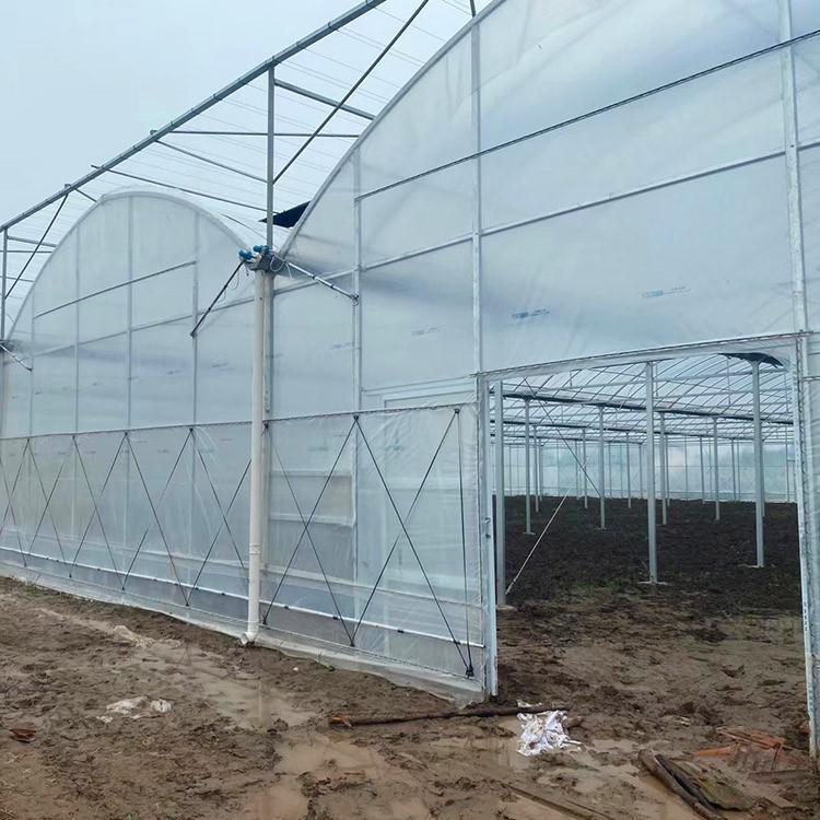 日光温室大棚建设厂家