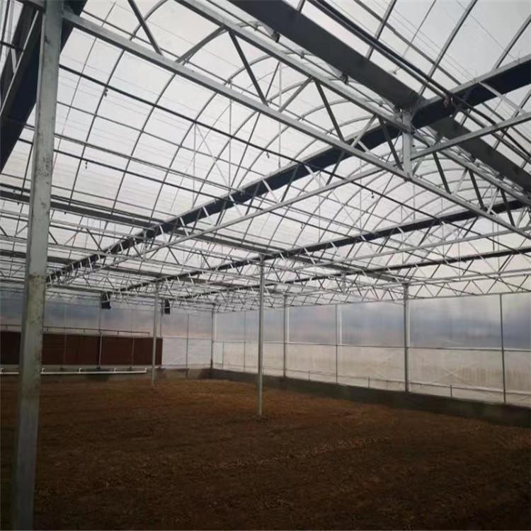 建造温室大棚厂家