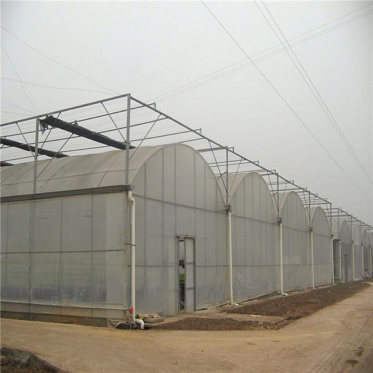 大棚厂家日光温室建设