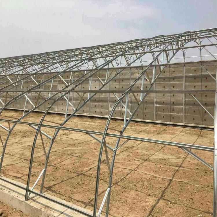 蔬菜日光温室建设厂家