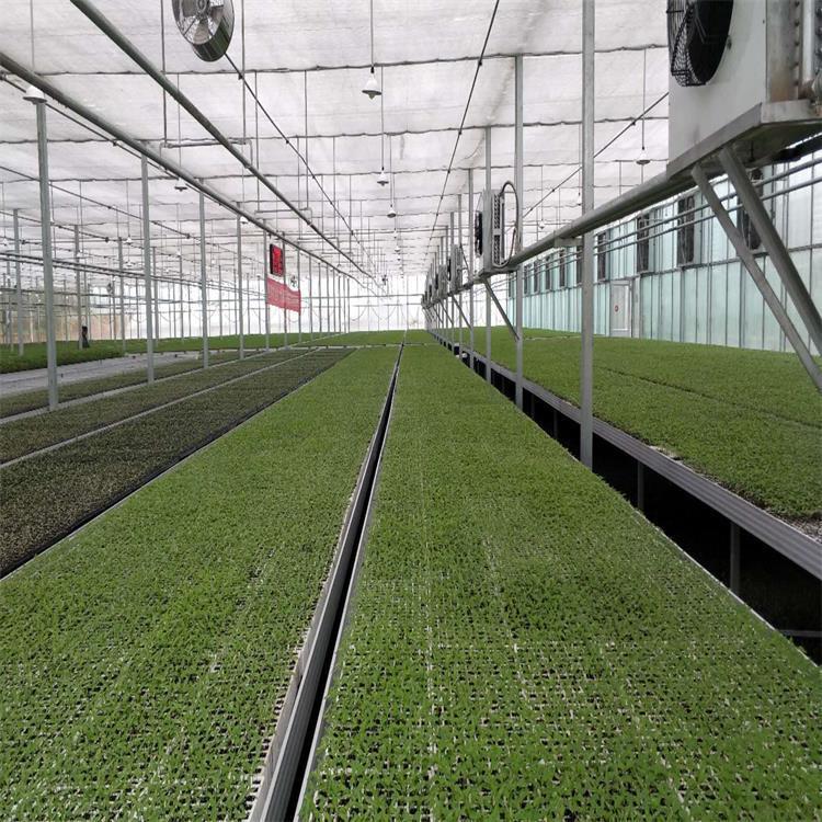 智能温室大棚建设厂家