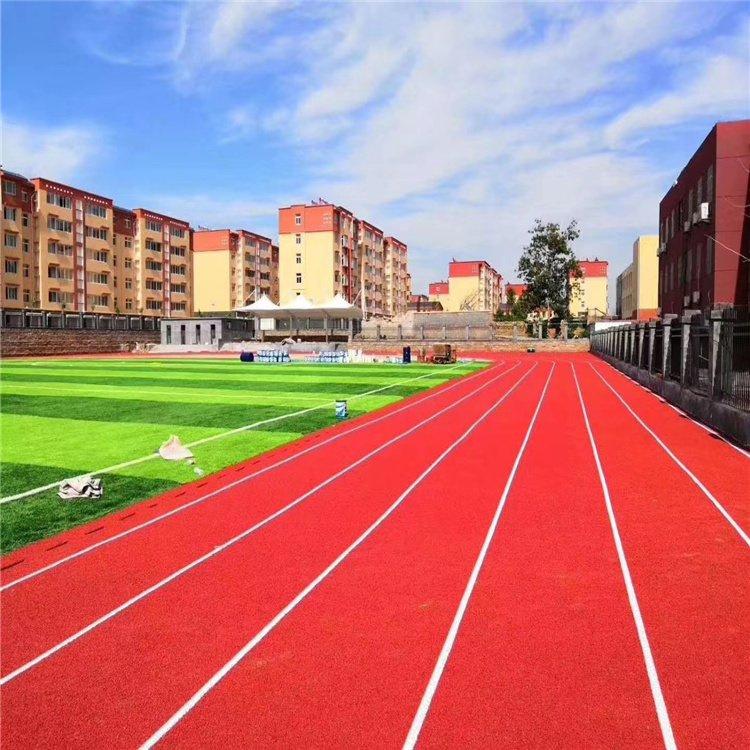 沧州 混合型塑胶跑道 塑胶跑道 EPDM颗粒 厂家直供