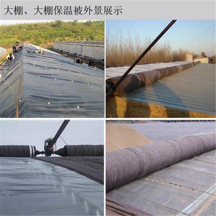 大棚保温被生产 做工好的温室大棚保温被 河北温室大棚保温被