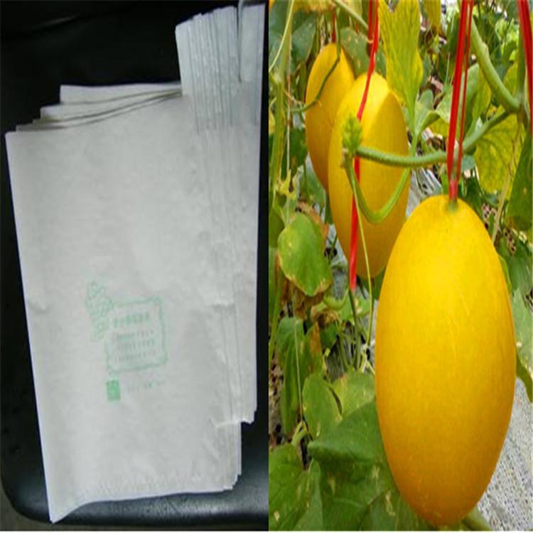 哈密瓜套袋价格