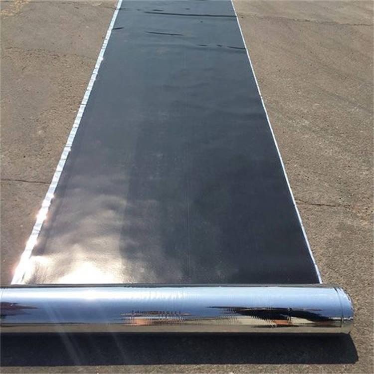 自粘防水卷材防水卷材 防水材料 防水卷材厂家