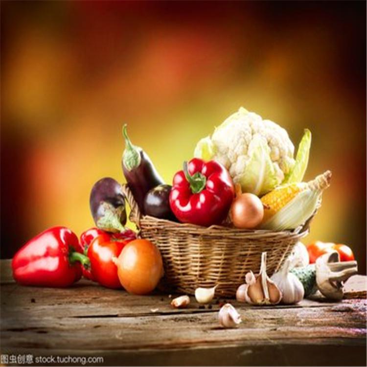 无土栽培有机蔬菜 水培蔬菜无土栽培种植 公司新技术