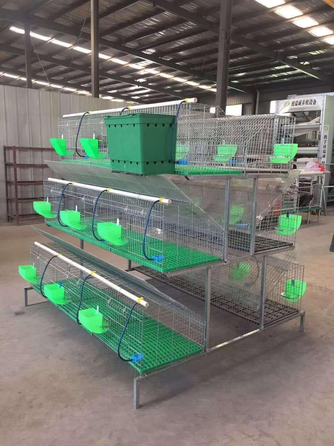 鸽子笼厂家直销价格优惠