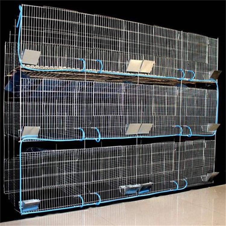 供应畜牧种兔笼